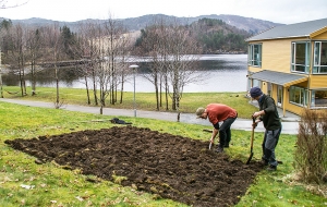 Preparing the herb garden