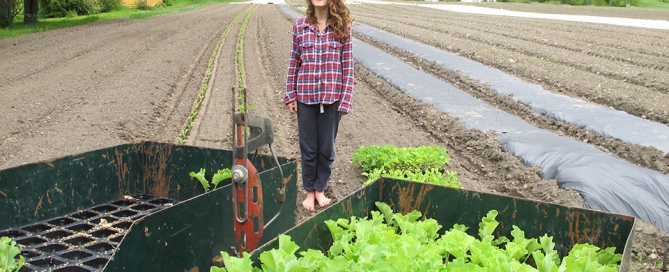 Mar ... in a field